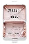 Perfect Days: A Novel