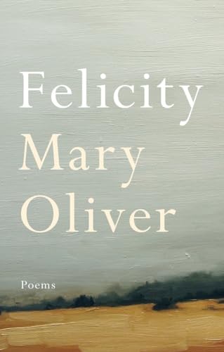 Felicity book cover