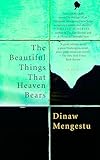The Beautiful Things That Heaven Bears