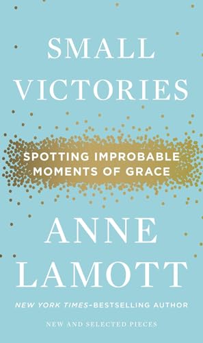 Small Victories book cover