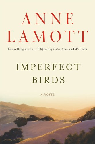 Imperfect Birds book cover