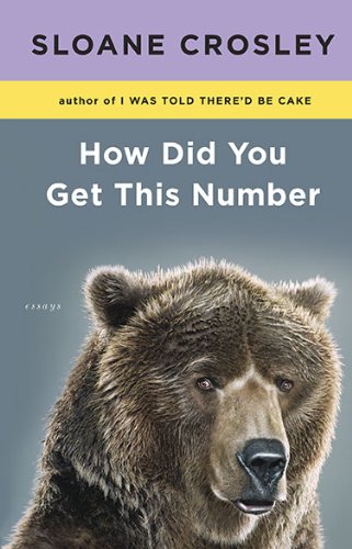 How Did You Get This Number book cover