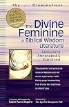 The Divine Feminine in Biblical Wisdom Literature: Selections Annotated & Explained (SkyLight Illuminations)