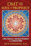 DMT and the Soul of Prophecy