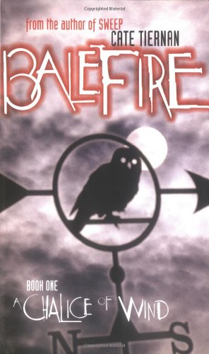 A Chalice of Wind book cover