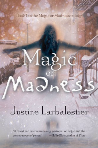 Magic or Madness book cover