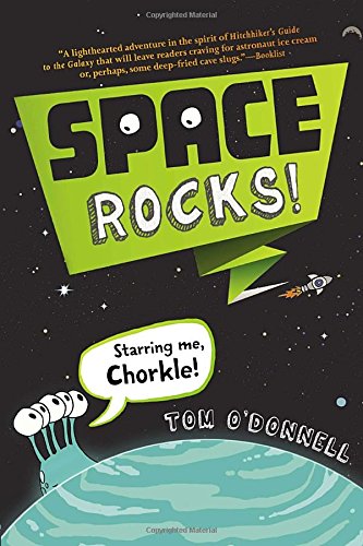 Space Rocks! book cover