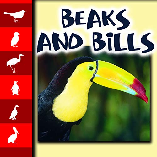 Cover of Beaks and Bills (Let's Look at Animals)