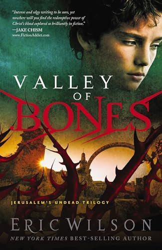 Valley Of Bones book cover