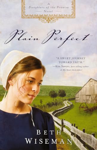 Plain Perfect book cover
