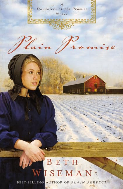 Plain Promise book cover