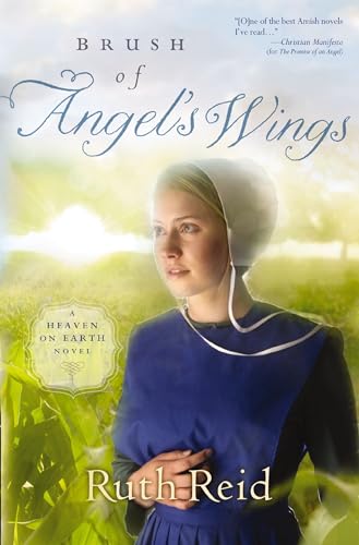 Brush of Angel's Wings book cover