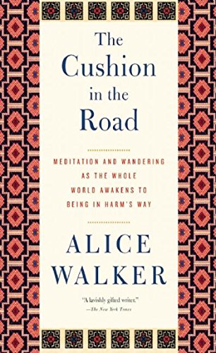 The Cushion in the Road book cover