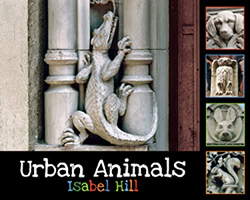 Cover of Urban animals