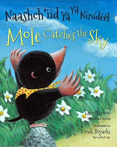 Cover of Mole Catches the Sky (Navajo/English)