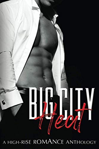 Big City Heat book cover