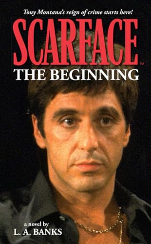 The Beginning book cover