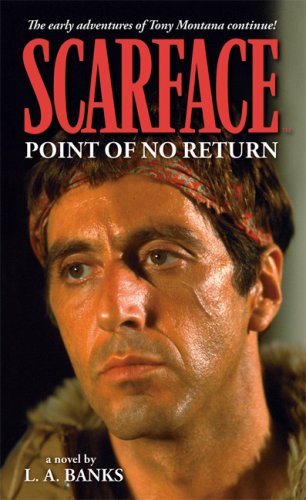 Point of No Return book cover