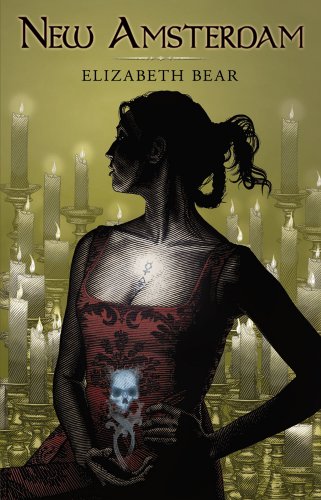 New Amsterdam book cover