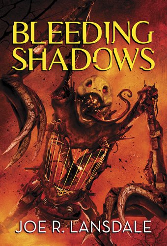 Bleeding Shadows book cover
