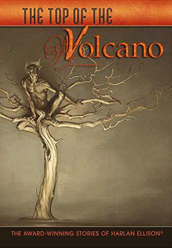 The Top of the Volcano book cover