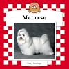 Maltese (Checkerboard Animal Library: Dogs)