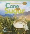 Cane to Sugar (Buddy Books: Beginning to End)
