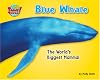 Blue Whale: The World's Biggest Mammal (Supersized!)