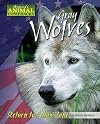 Gray Wolves: Return to Yellowstone (America's Animal Comebacks)