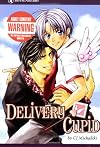 Delivery Cupid