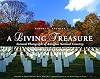 A Living Treasure: Seasonal Photographs of Arlington National Cemetery
