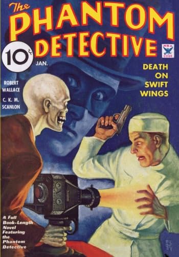 Death on Swift Wings book cover
