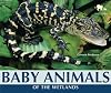 Baby Animals of the Wetlands