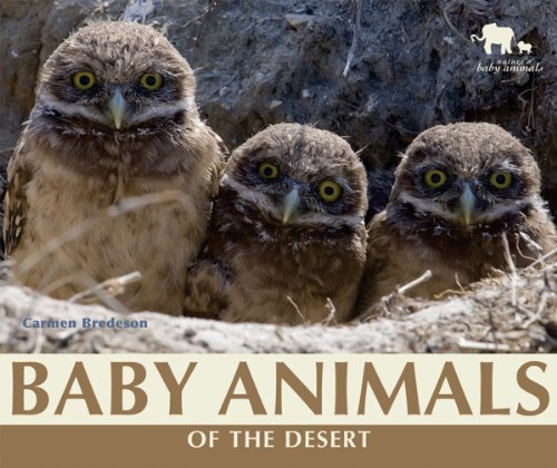 Cover of Baby Animals of the Desert