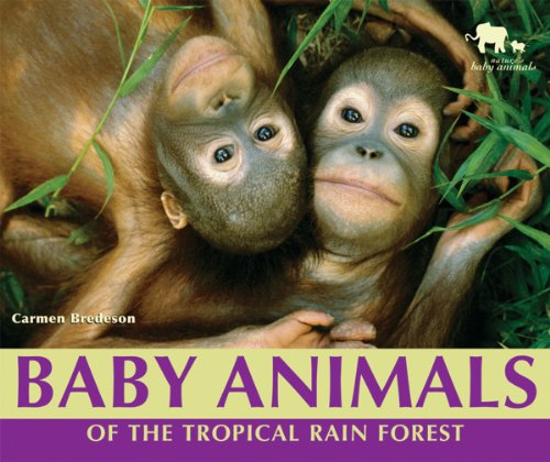 Cover of Baby Animals of the Tropical Rain Forest