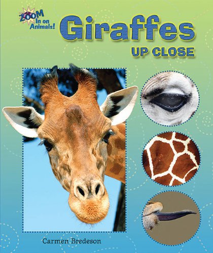 Cover of Giraffes up Close