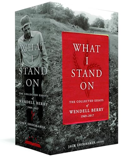 What I Stand On book cover