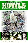 Suburban Howls: Tracking the Eastern Coyote in Urban Massachusetts