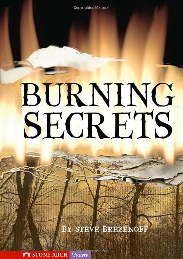 Cover of Burning Secrets