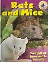 Rats and Mice (Pets Plus)
