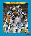 The Carolina Panthers (Team Spirit)
