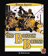 The Boston Bruins (Team Spirit)