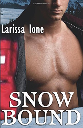 Snowbound book cover