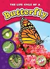 The Life Cycle of a Butterfly