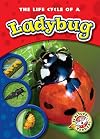 The Life Cycle of a Ladybug