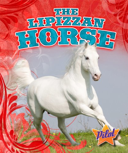 Cover of The Lipizzan horse