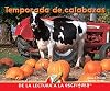Pumpkin Time (Readers for Writers: Early)