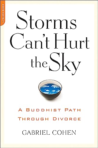 The Storms Can't Hurt the Sky book cover