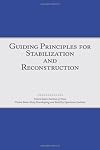 Guiding Principles for Stabilization and Reconstruction