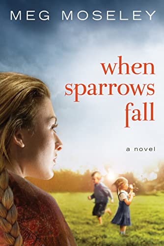 When Sparrows Fall book cover